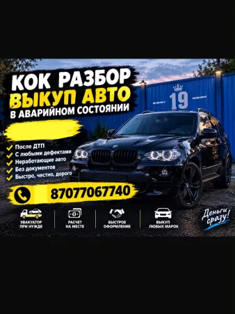 Kok razbot 19
