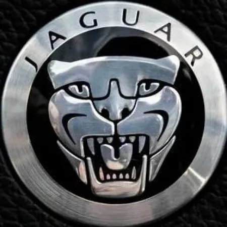 Jaguar s-type